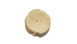 VÈRTEBRA DE TAURÓ