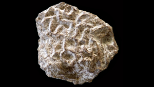 ASTROGYRA