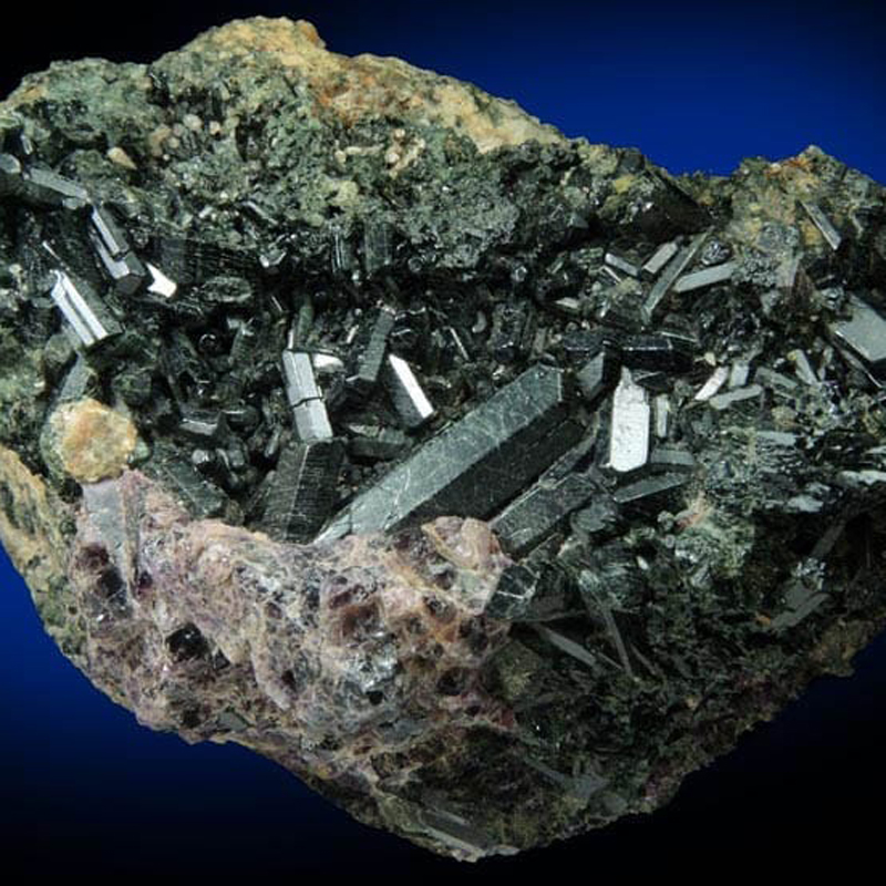 AUGITA
